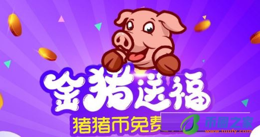 PIG币(猪猪币)行情怎么样? 会涨价吗插图1